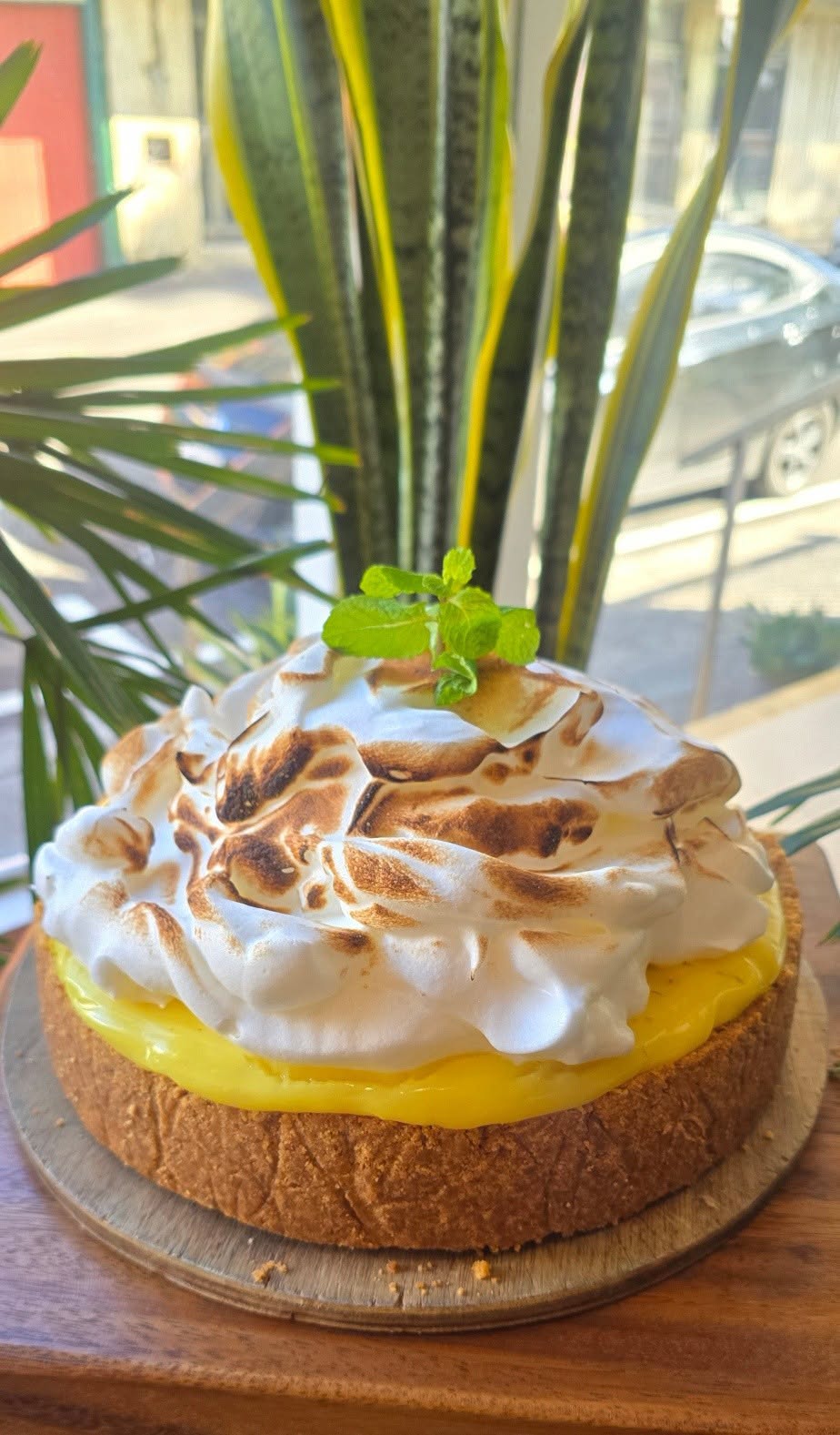 Torched lemon meringue cheesecake